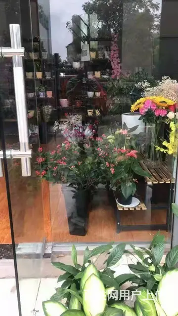 可整转！可空转！姜家寨广场景台大酒店对面35平花店转让 - 图片 1