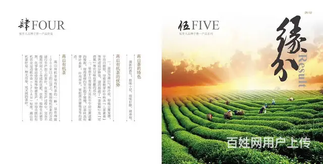 简式设计/企业形象策划/海报画册设计印刷/网店装修 - 图片 8