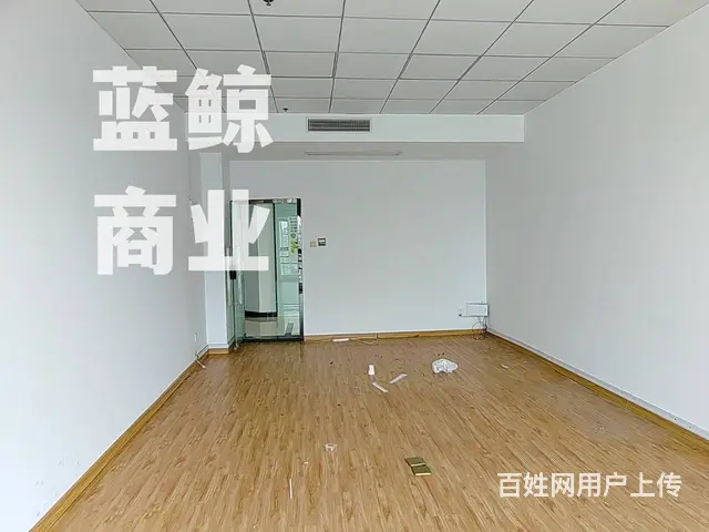 绿地商务城蓝海1450平整层纯办公现房写字楼出售 - 图片 7