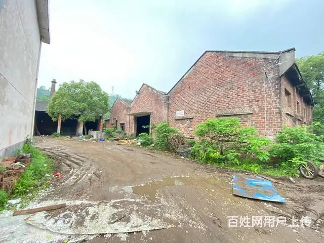 雨花区跳马洞株1200平厂房，带3000平场地出租/出售 - 图片 8
