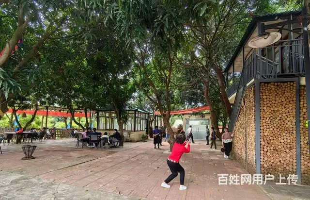 （51旺铺推荐）3亩多地具20多年树龄果园型农家乐寻合作出租 - 图片 7