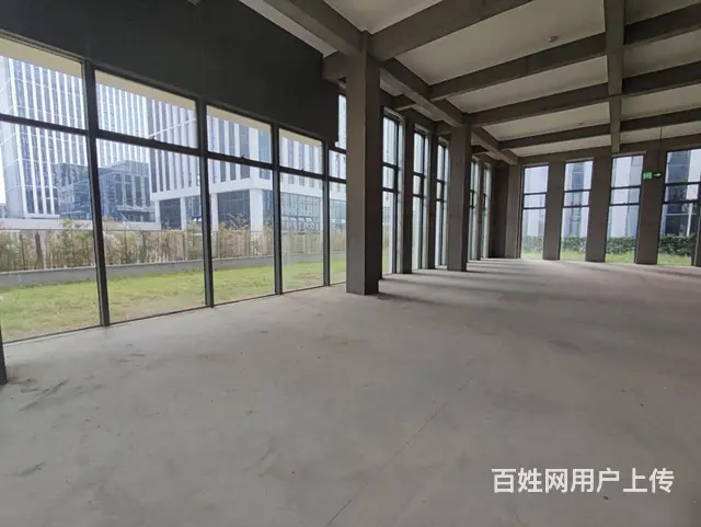富春中国安谷花园独栋1100方2000方精装送大院子仅剩6栋 - 图片 5