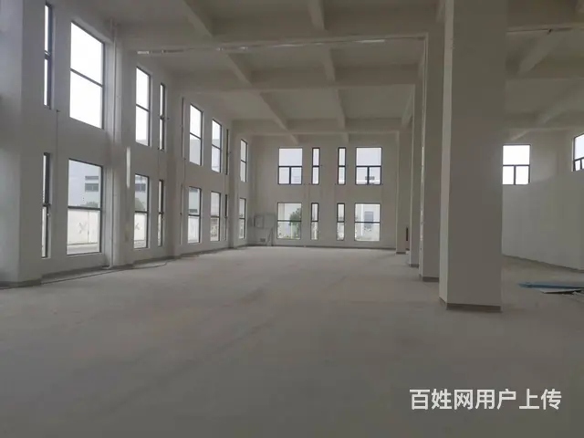 莘庄工业区新建独门独院104地块科创办公生物医药研发，可分租 - 图片 7