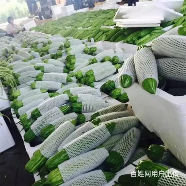 厦门市生鲜配送,厦门蔬菜配送app平台 - 图片 5