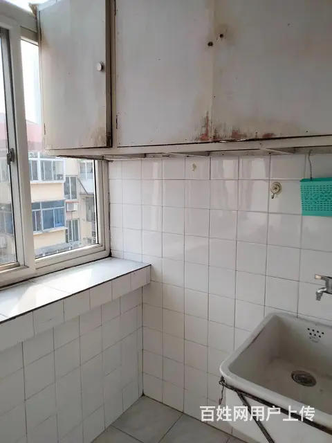 华茂小区口腔医院附近一室一厅1000 - 图片 7