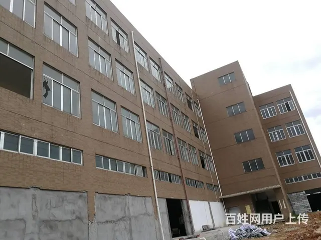斗门珠峰大道旁全新厂房出租 - 图片 1