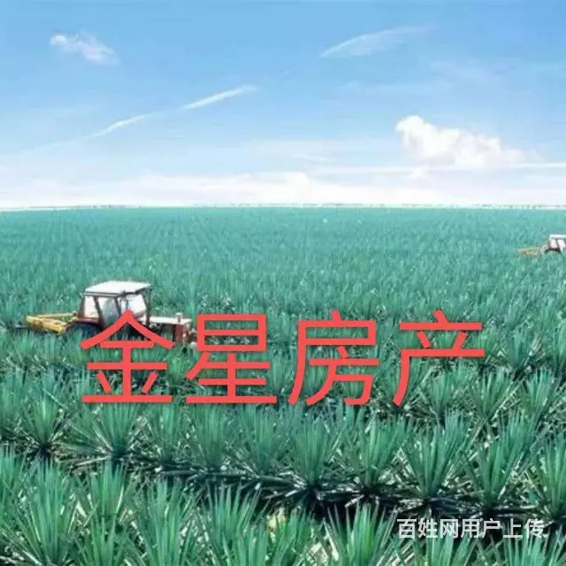 金星房地产信息中心[简介] - 图片
