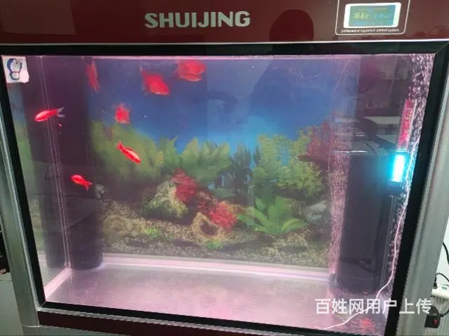 荣成二手家电 - 图片 3