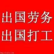正规出国项目司机、农场工、保姆、技工、护理、工厂 - 图片 4