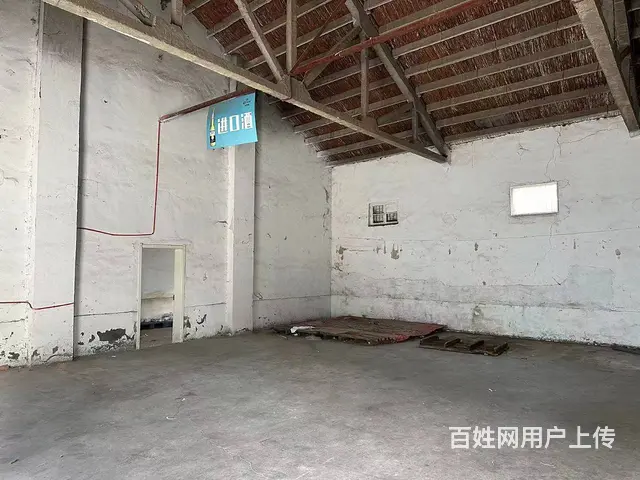 （城市在线找房免费）红星美凯龙北煤港路附近厂房出租 - 图片 5