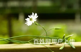 常德到长沙拼车小车商务车电话​ - 图片
