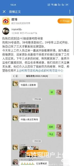 内蒙古寻猫团队，内蒙古寻宠物团队，内蒙古找猫团队 - 图片 2