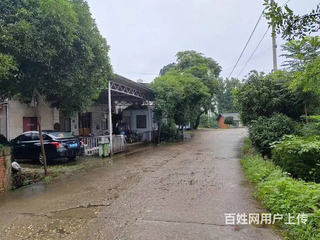 （老板本人）开福区捞刀河中青路附近独门独院场地出租 6594 - 图片 4