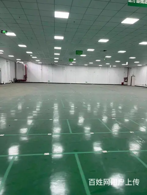 花桥原房东1000平仓库，精装修，拎包入住。 - 图片 8