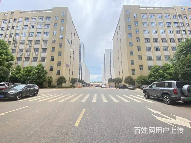 (房东直租)芙蓉区广发隆平产业园2100平厂房优价出租 - 图片 4