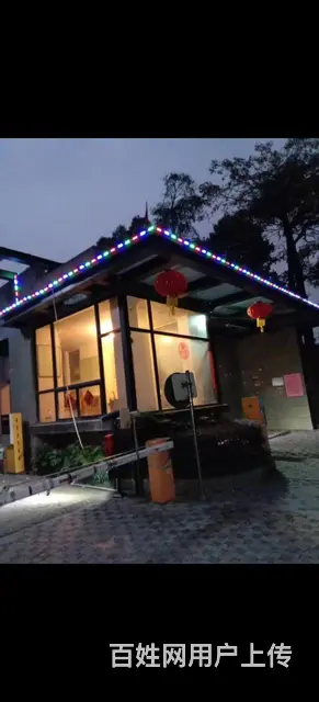 伴侣 - 图片