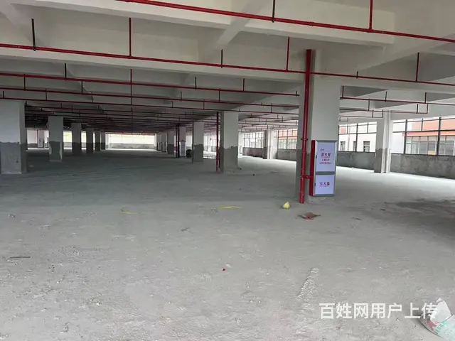 龙门镇2025产业园智造北路标准厂房 可分租可整租 - 图片 3