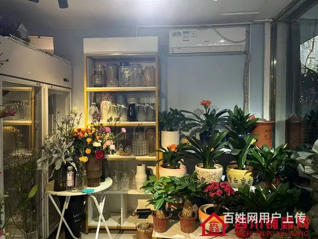 （四川铺鑫网）巴州区丽景天城40㎡鲜花店转让 - 图片 6