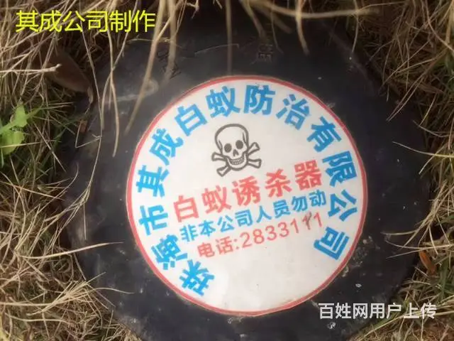 珠海灭蟑螂，灭鼠，灭白蚁！无效退款 - 图片 1