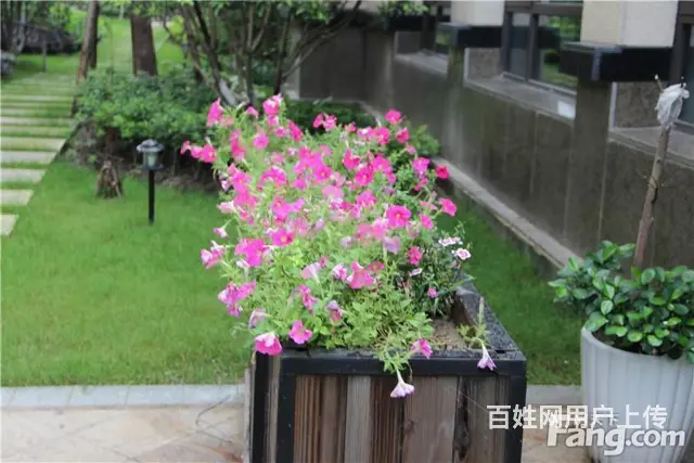 楼层适中，精装修保养好，采光刺眼，居家好户型 - 图片 4
