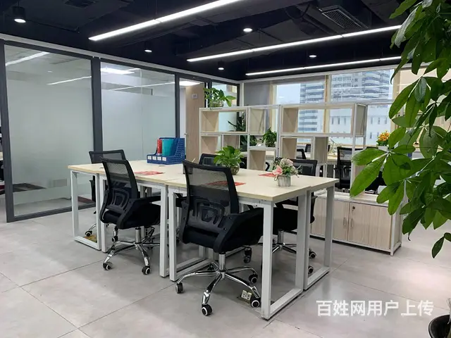 小规模 一般纳税人记账报税 一对一专业会计服务 - 图片 5