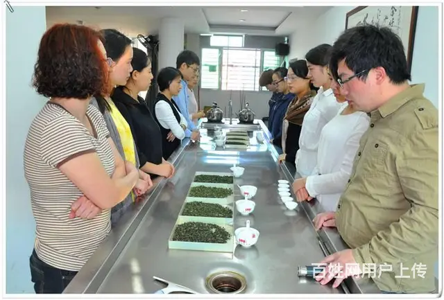 学泡茶在哪里可以学，天晟茶艺培训学校说 - 图片 2
