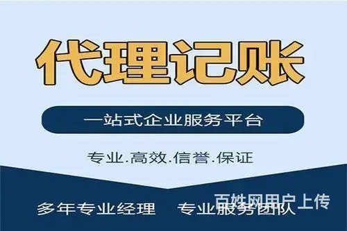 沈阳东陵/浑南公司乱账清理代理记账一般纳税人如何缴税 - 图片 1