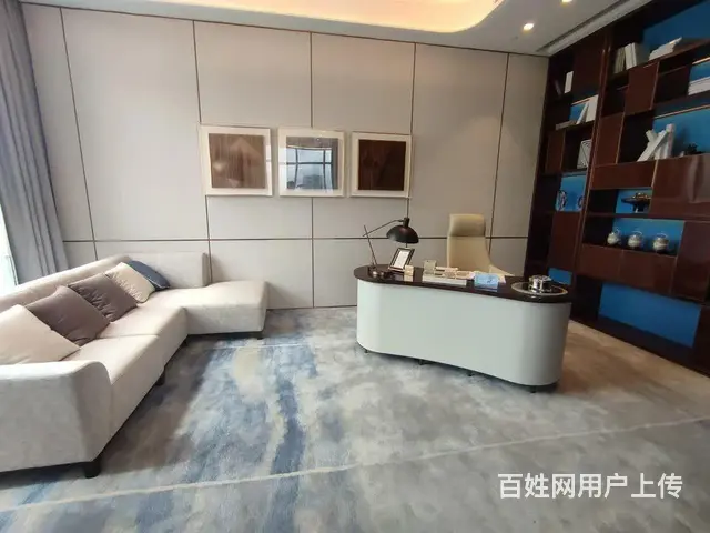 金山谷万博CBD高端全新1218方 适合会所接待类 - 图片 9