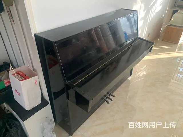 钢琴 - 图片 3