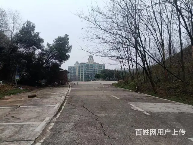 （老板本人）大型水泥坪硬化场地出租（可分租）  6078 - 图片 6
