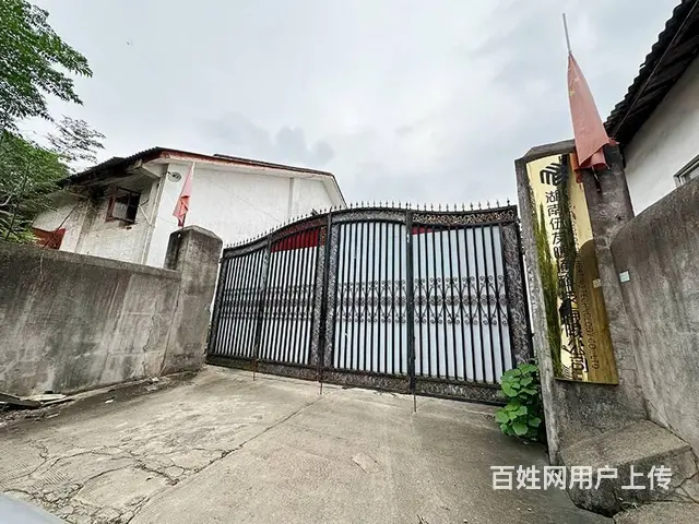 （老板本人）湘江新区独门独院厂房仓库出租，可分租 5379 - 图片 1