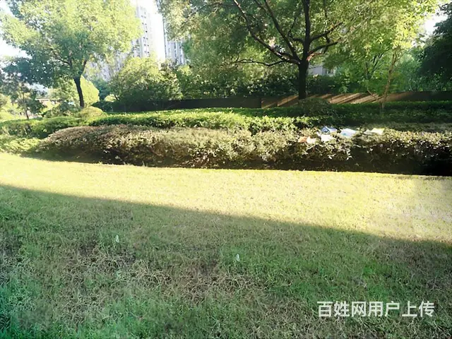 丁桥 · 翡丽湾 · 3室 · 2厅 - 图片 11