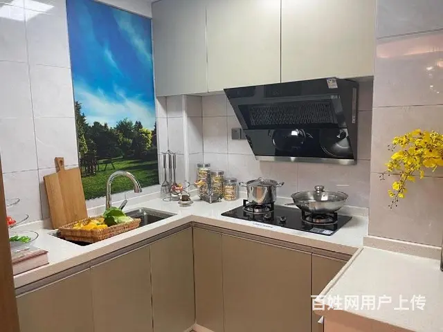 金鹏风华北辰轻轨口年底拿房，南京半生活圈 - 图片 4
