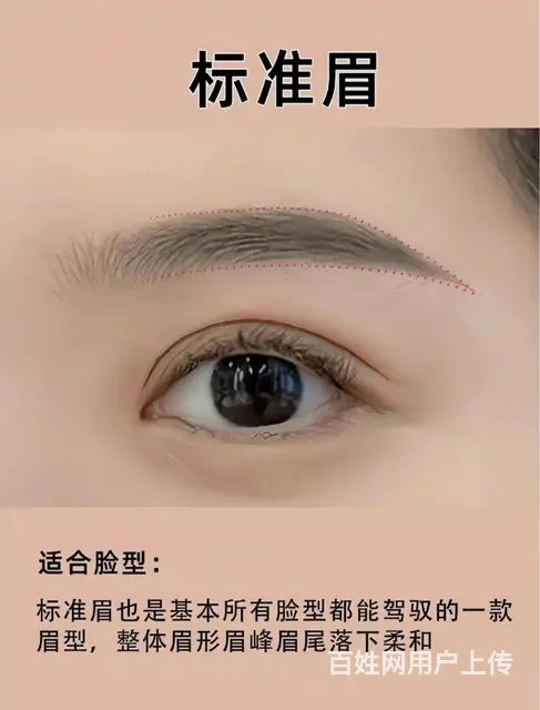 眉毛定位与画法 - 图片 5