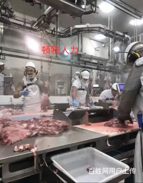 江苏2正规出国劳务、诚招代理。不成功0收费 - 图片 1