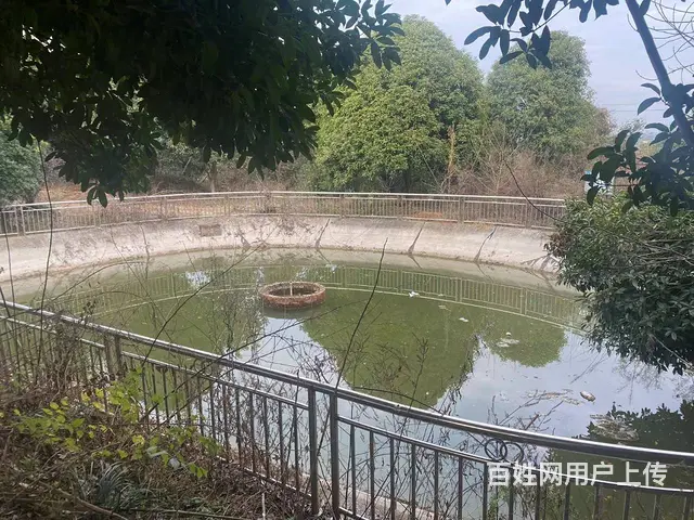 （房东直租）长沙县黄花镇整栋房屋院子优价出租 - 图片 7