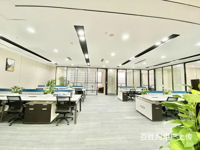 招商！世贸，楼下就是，户型方正，急租。 - 图片 4