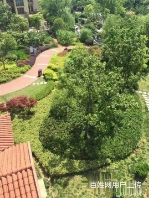 太湖庄园  豪装三房  南北通透  三面靠山 一面 - 图片 10