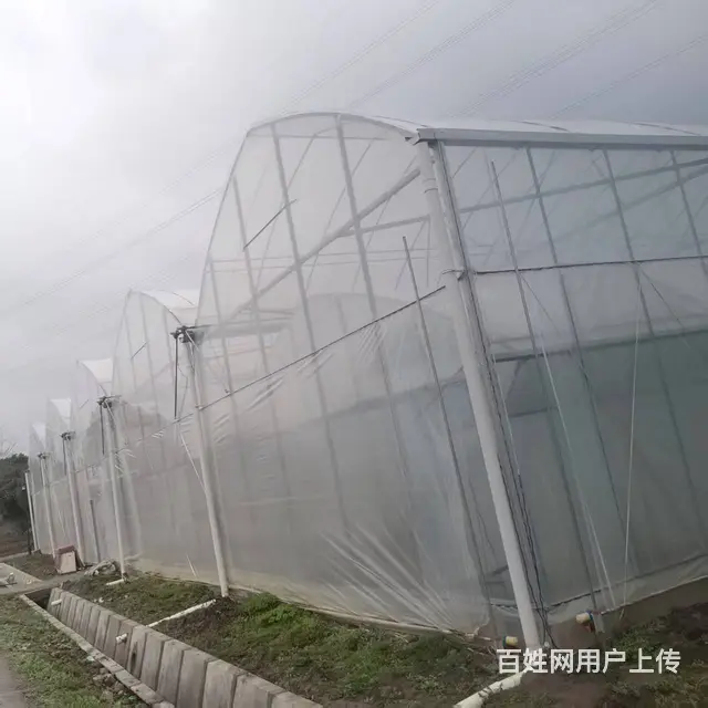 联动大棚出租 - 图片 2