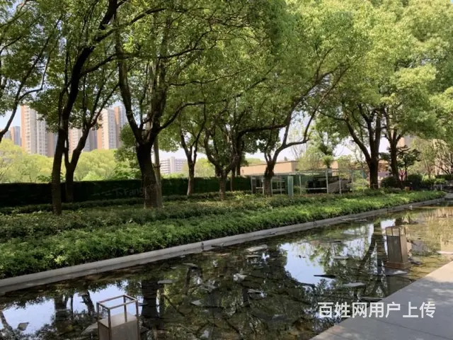 新出天宁核心运河畔弘阳天下锦 精装四房 急卖 随时看房 - 图片 10