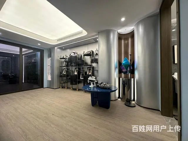 锦江区（攀城钢）城市级叠拼别墅 精装 拎包入住 - 图片 7