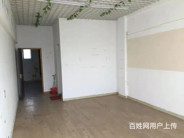 房东直租东海大道564号第三层办公、商住房 - 图片 8