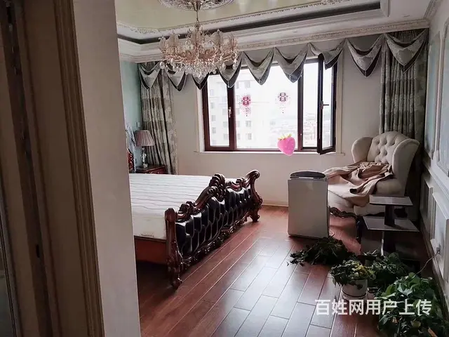 城市之星 普通住宅 豪华装修 - 图片 4
