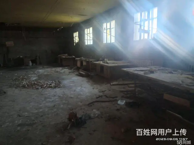 南岗哈西西铁街厂房场地暖库出租 - 图片 3