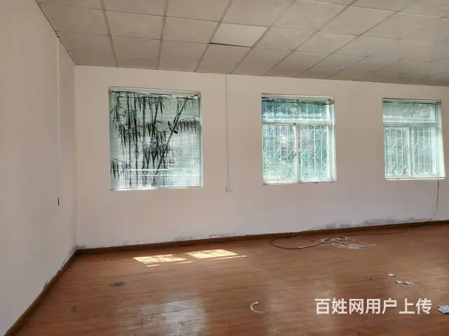 【创美】张村环翠路独门独院320平单层厂房出租 - 图片 5