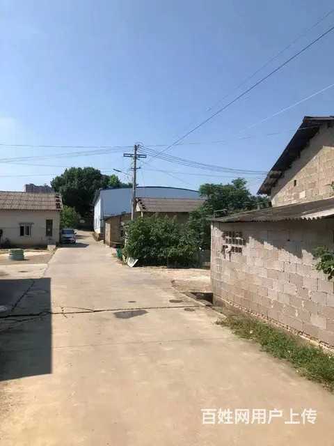 （老板本人）香樟东路标准厂房仓库房东直租  5731 - 图片 5