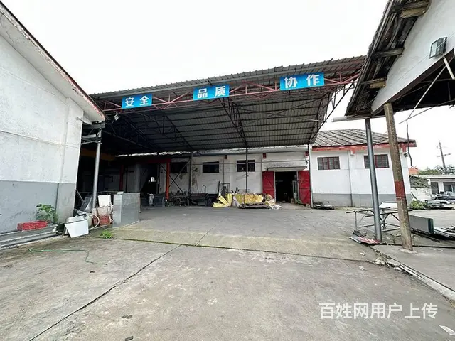 （老板本人）望城独门独院厂房仓库出租  6213 - 图片 4