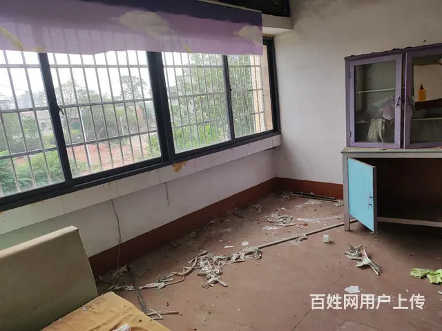 大浦镇汽车站旁边两层整栋房屋出租 - 图片 3