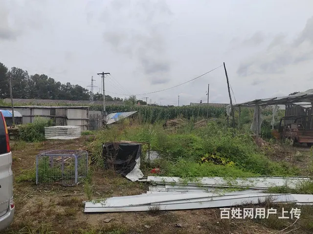养殖牛羊，打造自己的领地 - 图片 6