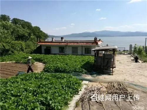五虎岛对面松花湖山庄出售 - 图片 3